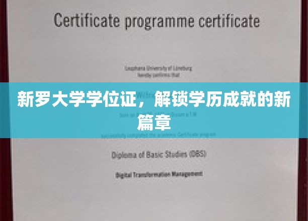 新罗大学学位证，开启学历新里程的钥匙