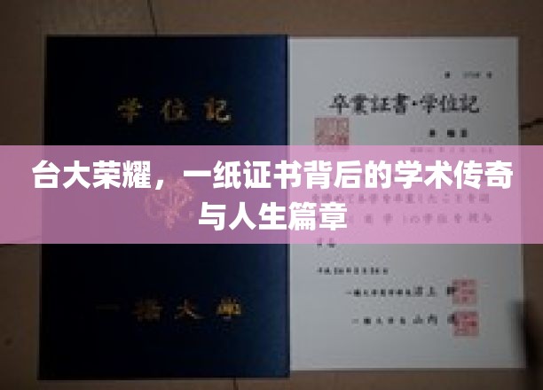 台大荣耀，证书背后的学术传奇与人生璀璨篇章