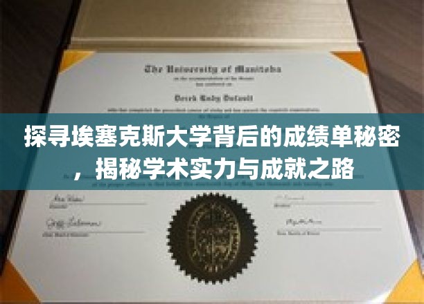 埃塞克斯大学揭秘，揭秘学术卓越背后的成绩单奥秘