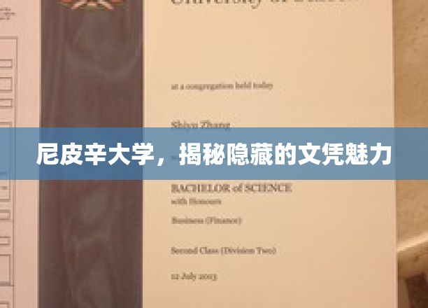 尼皮辛大学，揭秘隐藏的文凭魅力