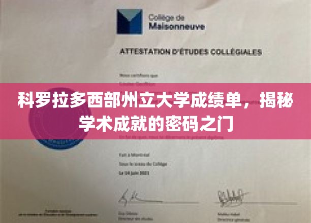 揭开科罗拉多西部州立大学成绩单背后的学术宝藏之门