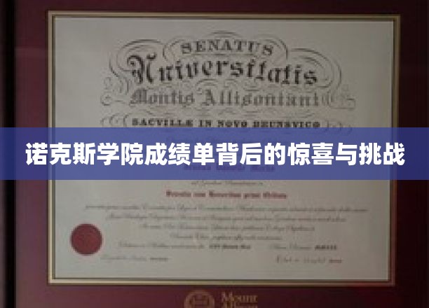 诺克斯学院成绩单，揭开惊喜与成长的双重考验
