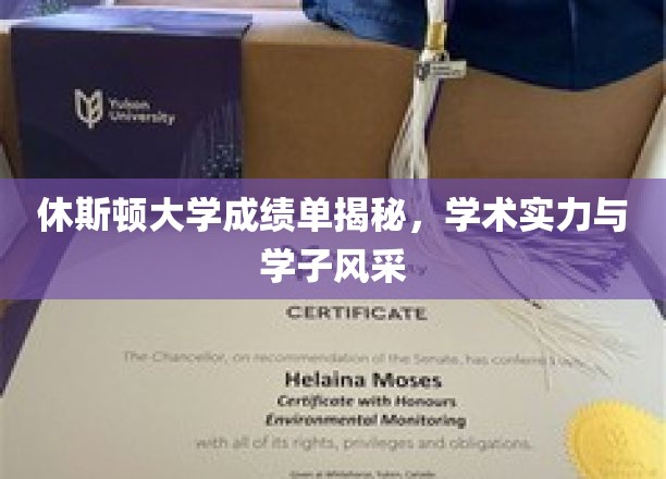 休斯顿大学学子风采揭秘，学术实力背后的故事