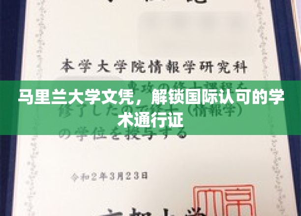 国际职场通行证，马里兰大学文凭助你驰骋全球舞台