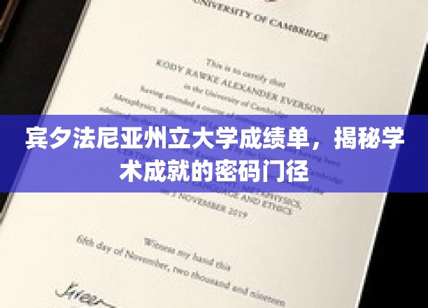 宾夕法尼亚州立大学成绩单，揭秘学术成就的密码门径