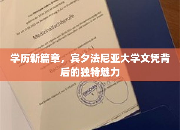 学历新篇章，宾夕法尼亚大学文凭背后的独特魅力
