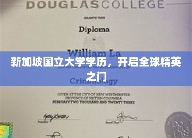 新加坡国立大学学历，开启全球精英之门