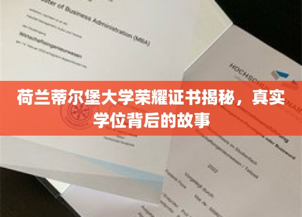 揭开荷兰蒂尔堡大学荣耀证书之谜，探寻真实学位背后的传奇故事