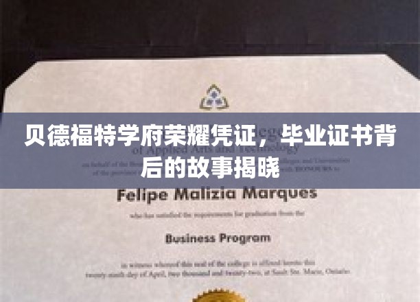 探寻贝德福特学府荣耀凭证，毕业证书背后的传奇故事