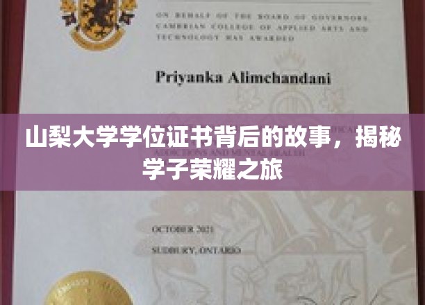 山梨学子荣耀印记，学位证书背后的非凡征程