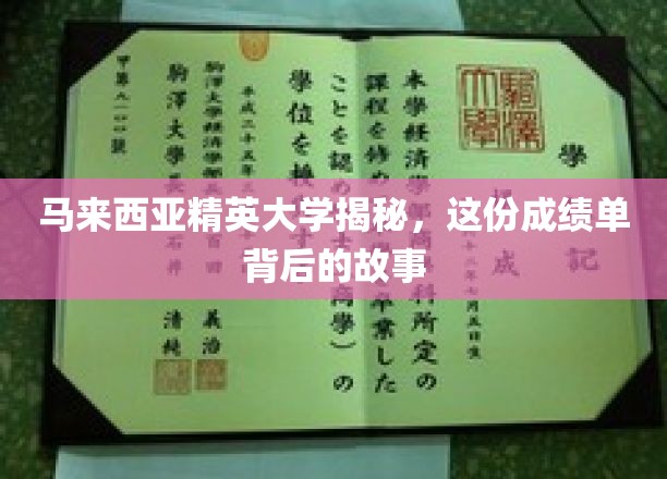 解码马大精英，揭秘非凡成绩背后的奋斗历程
