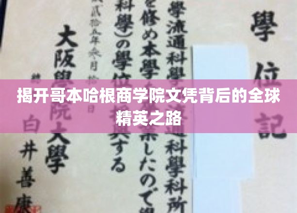 解码哥本哈根商学院，揭秘全球精英的崛起之路