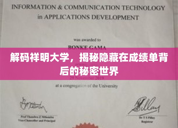 揭开祥明大学成绩单的神秘面纱，探寻学术成长的秘密花园
