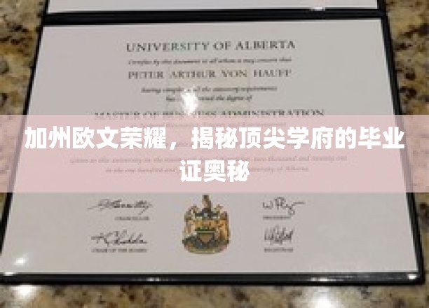 加州荣耀解码，揭秘欧文名校证书背后的非凡故事