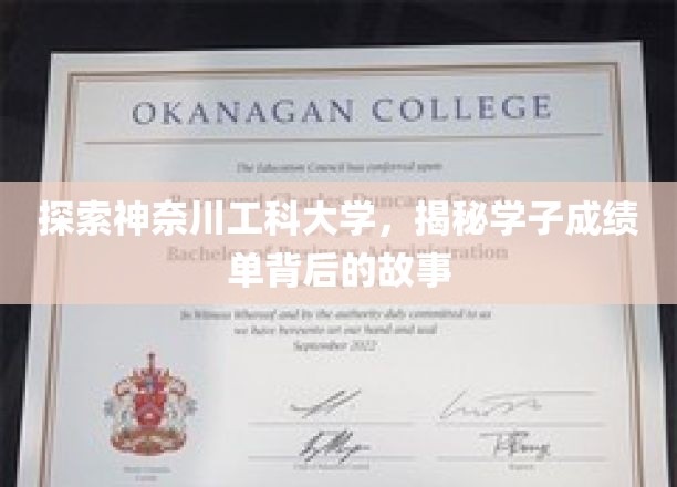 神奈川工科大学揭秘，学子成绩单背后的人生轨迹