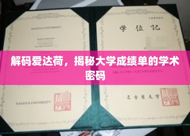探索爱达荷大学，解锁成绩单背后的学术奥秘