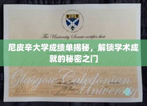 解锁尼皮辛大学成绩单背后的学术奥秘，一窥学术成就的神秘面纱
