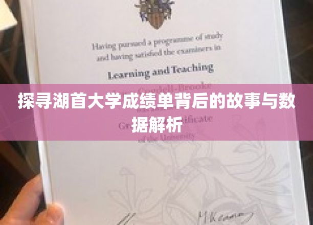 解码湖首大学成绩单，揭秘学术成就与数据密码
