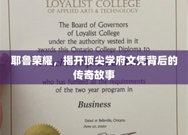 耶鲁荣耀之谜，探寻顶尖学府文凭背后的辉煌历程