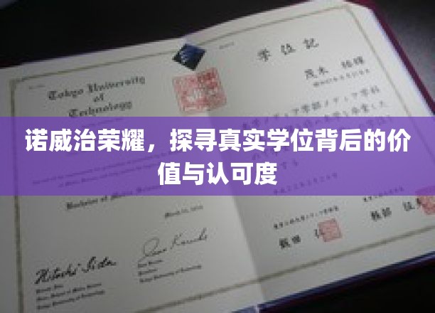 揭秘诺威治荣耀，学位认证的价值与全球认可之谜