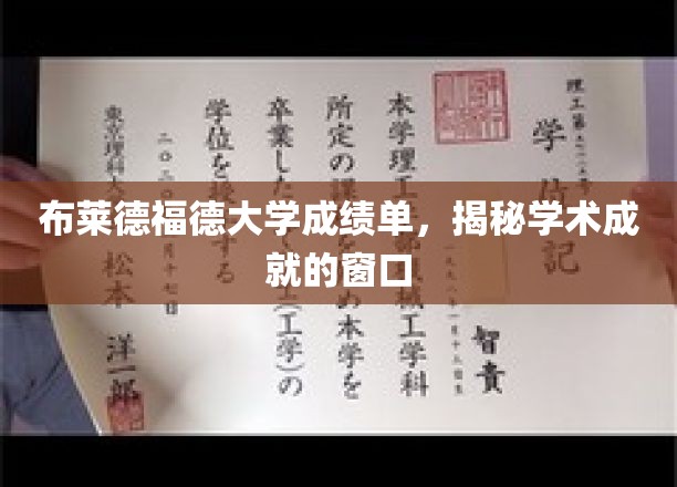 窥探学术辉煌，布莱德福德大学成绩单背后的秘密世界
