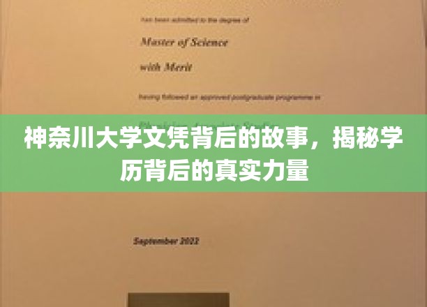 神奈川文凭传奇，探索学历背后的惊人影响力