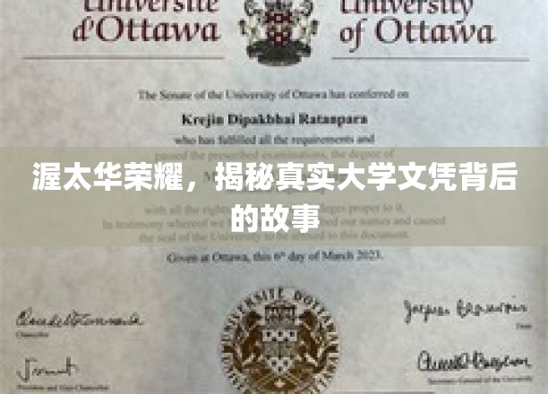渥太华荣耀，揭开真实大学文凭背后的故事