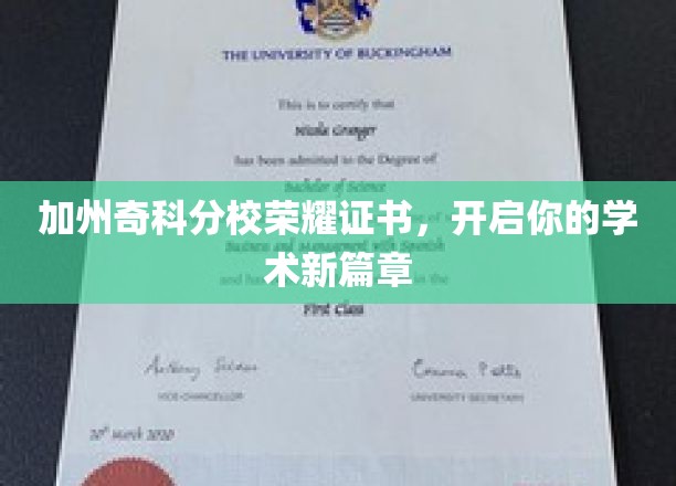 奇科分校荣耀证书助力，开启学术之旅新纪元