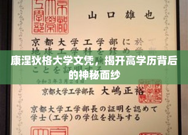 解码康奈尔，高学历背后的非凡故事