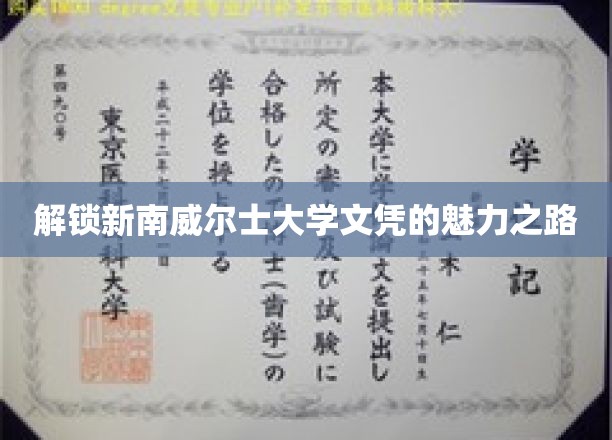 探索新南威尔士大学学位的非凡之旅