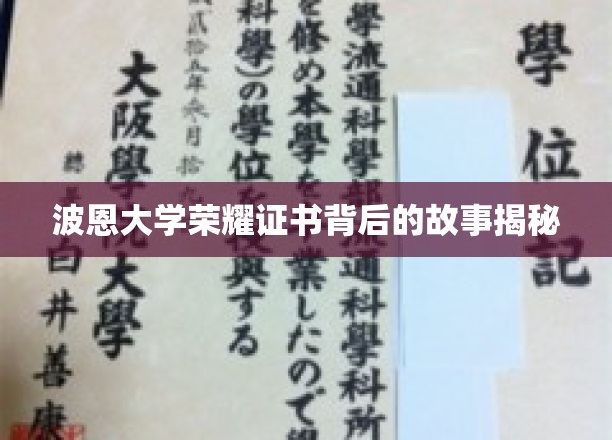 波恩大学荣耀证书背后的故事揭秘