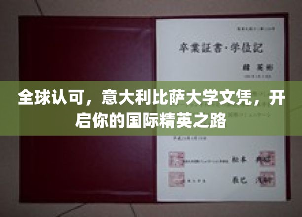 跨越国界，比萨大学文凭助你迈向国际精英生涯