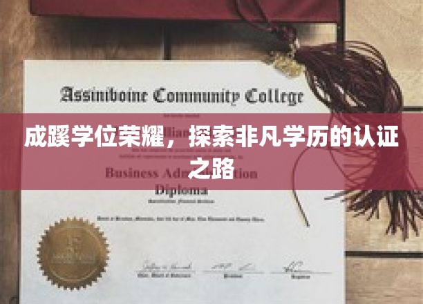 成蹊荣耀之路，解锁非凡学历认证的奥秘之旅