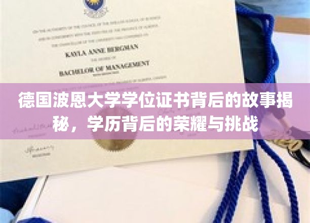 德国波恩大学学位证书背后的故事揭秘，学历背后的荣耀与挑战