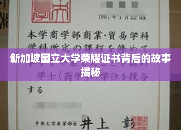 新加坡国立大学荣耀证书背后的故事揭秘