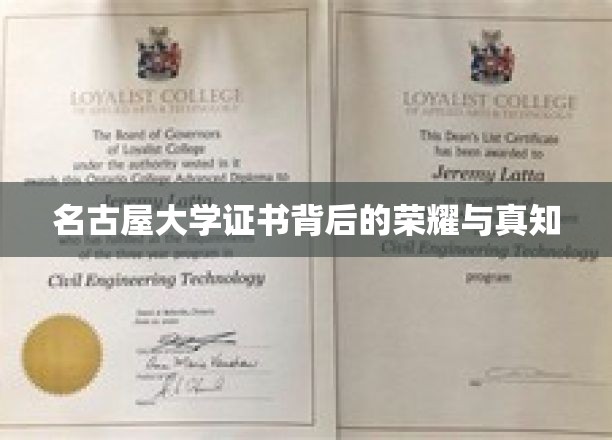 名古屋大学证书，探寻荣耀背后的知识与智慧