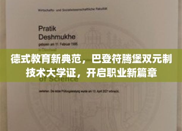 德国双元制教育革新之旅，巴登符腾堡技术大学引领职业未来