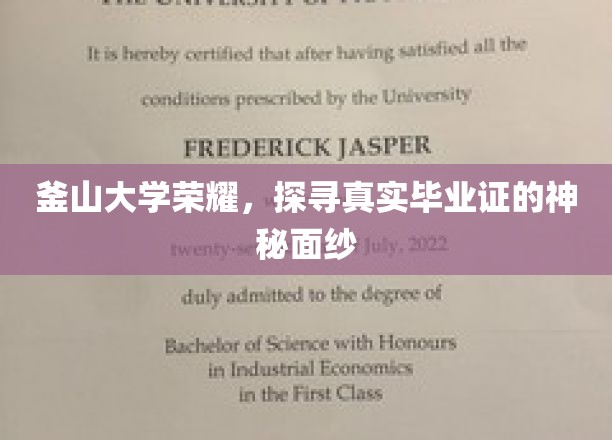 釜山大学传奇揭秘，一探究竟毕业证书背后的秘密