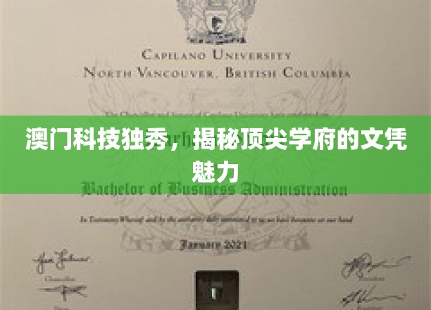 澳门科技精英摇篮，探索顶尖学府的文凭光环