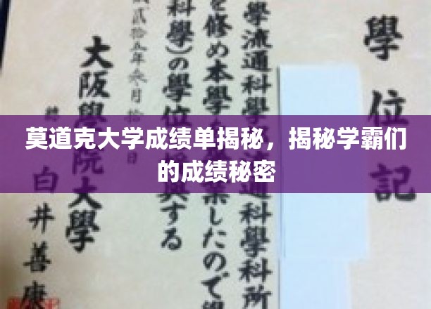 探寻莫道克学霸背后的成绩奥秘