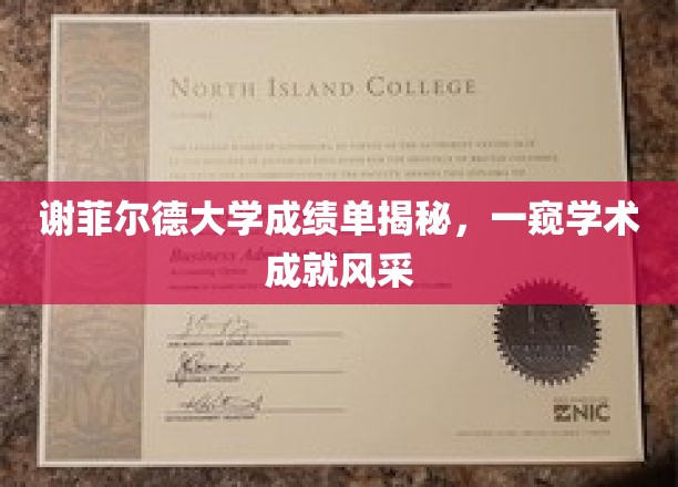 谢菲尔德大学成绩单揭秘，一窥学术成就风采