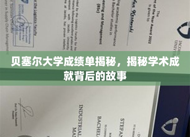 贝塞尔大学成绩单揭秘，探寻学术成就背后的故事
