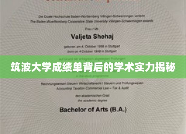 揭开筑波大学成绩单背后的卓越学术底蕴