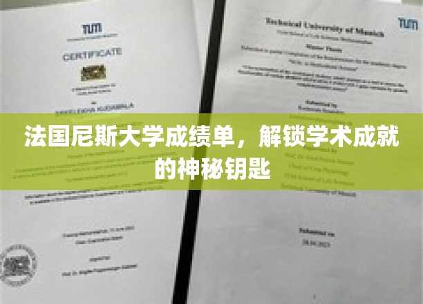 尼斯大学成绩单，开启学术辉煌之门的钥匙