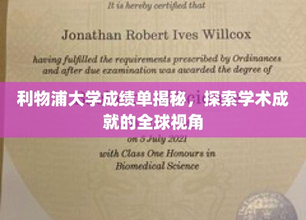 利物浦大学学术成就揭秘，透视全球视野下的卓越表现