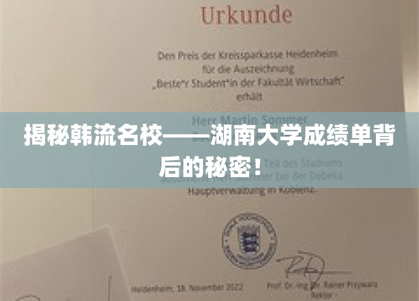 探寻韩国顶尖学府——湖南大学成绩单背后的奥秘！