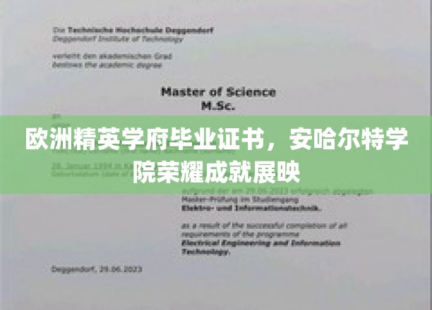 荣耀绽放，安哈尔特学院精英毕业生证书风采展
