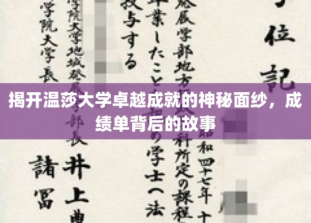 揭开温莎大学卓越成就的神秘面纱，探寻成绩单背后的故事