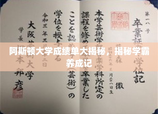揭秘阿斯顿学霸之路，成绩单背后的秘密揭晓