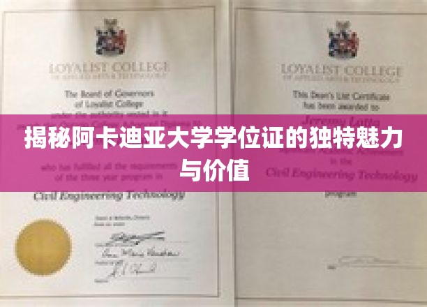 阿卡迪亚大学学位证，解锁知识与荣耀的双重象征